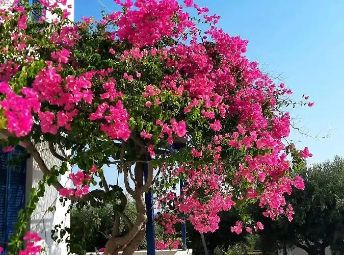 Leros Blefouti *