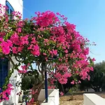 Leros Blefouti *