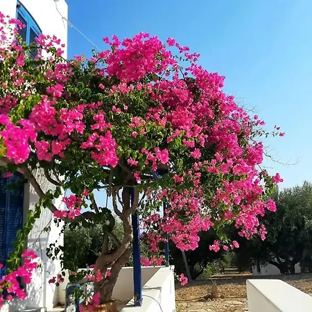 Leros Blefouti *